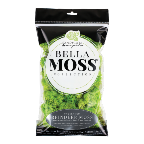 Syndicate Home and Garden Bella Moss Collection Preserved Reindeer Moss - Green Perspective: front