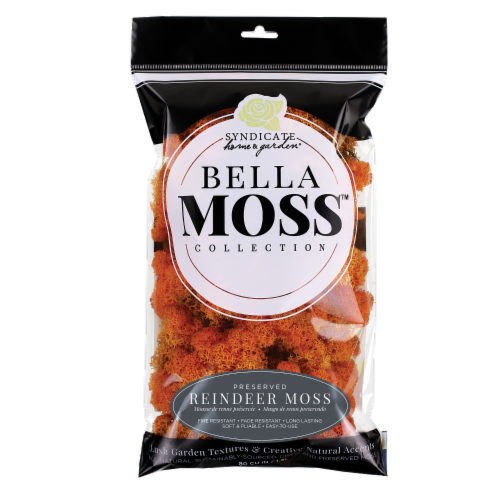 Bella Moss 1406121083 Reindeer Bag Moss, Autumn Perspective: front