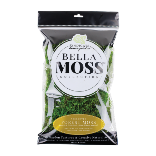 Syndicate Home and Garden Bella Moss Collection Preserved Forest Moss Perspective: front
