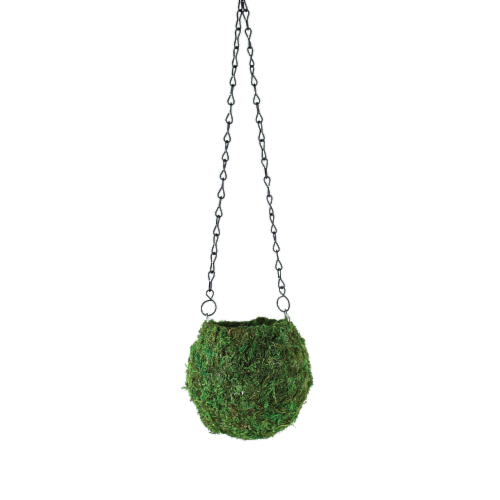 Syndicate Home and Garden Kokedama - Green Perspective: front