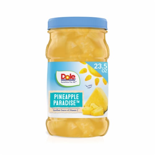 Dole® Pineapple Paradise Pineapple Chunks In 100% Fruit Juice, 1 jar ...