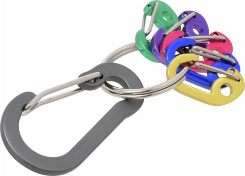 Carabiner Key Chain