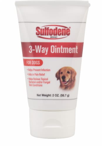 Sulfodene Wound Care Ointment 2 ounce Perspective: front