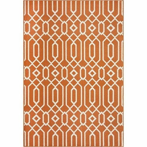 Momeni Baja Transitional Rug Orange 8 6 x 13 Smith s Food and Drug