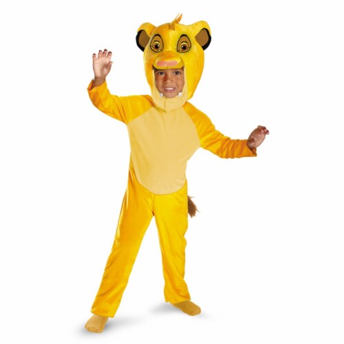 Costumes For All Occasions DG27135M Simba Classic 3T-4T Perspective: front