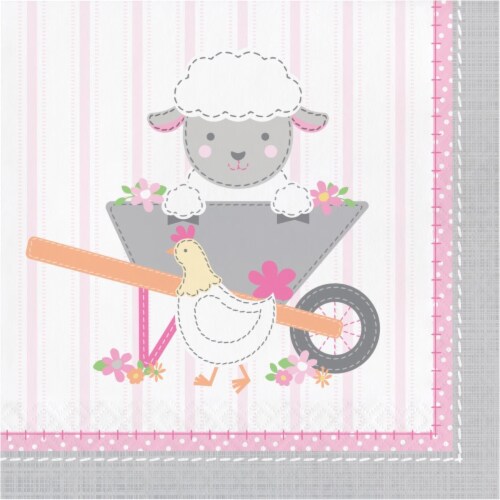 Creative Converting 339864 Farmhouse 1st Birthday Girl Napkins, 16 Count Perspective: front