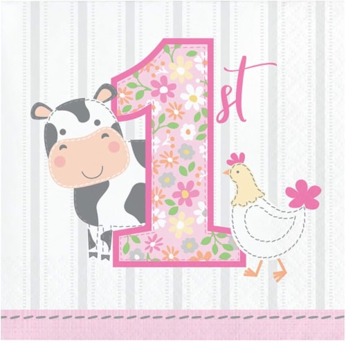 Creative Converting 339866 Farmhouse 1st Birthday Girl Beverage Napkins, 16 Count Perspective: front