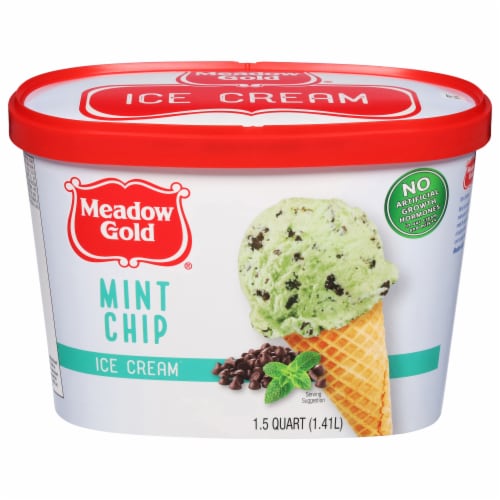 Meadow Gold® Mint Chocolate Chip Ice Cream Tub Perspective: front