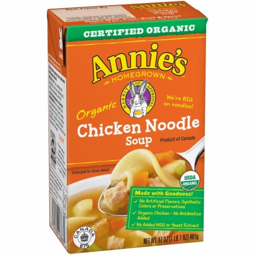 Annies Organic Chicken Noodle Soup Perspective: front