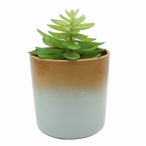 HD Designs Ceramic Succulent Planter Perspective: front