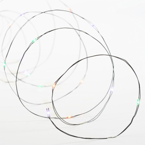 Holiday Home 30 LED Multicolor Wire Lights Perspective: front
