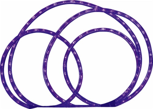 Holiday Home Rope Light - Purple Perspective: front