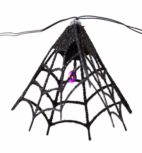 Holiday Home 10 Spider Web Lights Perspective: front