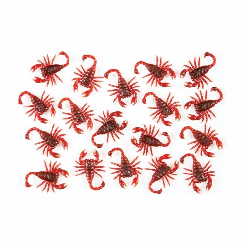 Holiday Home Scorpions Perspective: front
