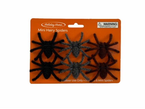 Holiday Home Hairy Spiders Perspective: front