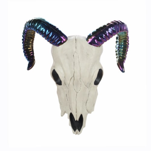 Holiday Home Ram Skull - Oil Slick/White Perspective: front