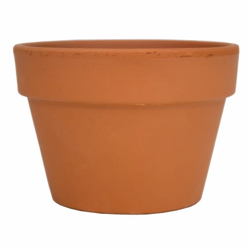 The Joy of Gardening Fern/Azalea Pot - Red Perspective: front