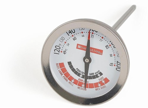 Everyday Living® Stainless Steel Meat Thermometer Perspective: front
