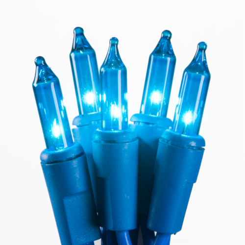blue outdoor mini string lights