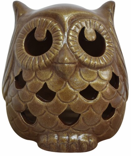 Earth Accents Owl Luminarie Perspective: front