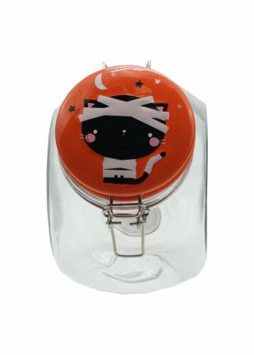 Holiday Home Cat Mummy Penny Saver Jar Perspective: front