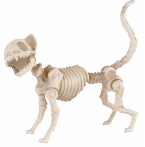Holiday Home® Poseable Mini Cat Skeleton - White Perspective: front