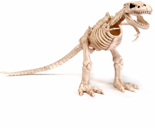 Holiday Home T-Rex Skeleton - Cream Perspective: front