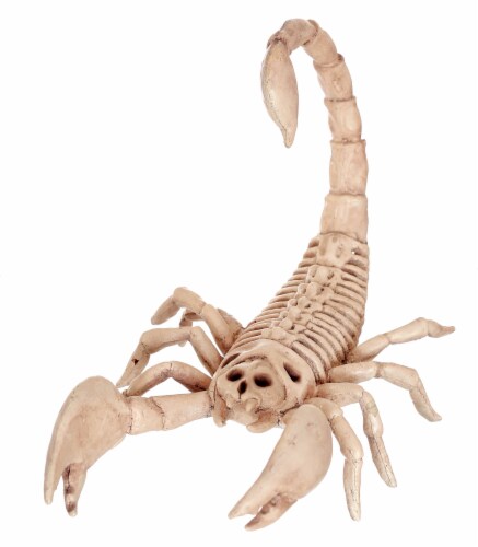 Holiday Home Scorpion Skeleton Decor Perspective: front