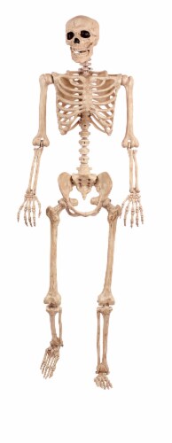 Holiday Home® Pose-N-Stay Skeleton - Cream Perspective: front