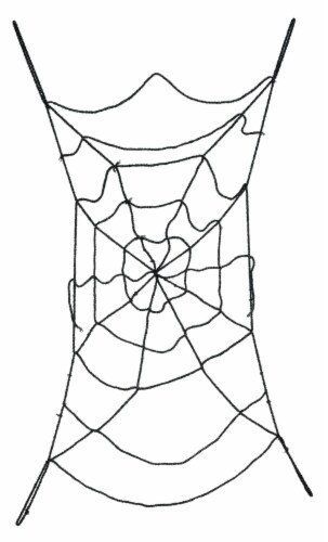 Holiday Home Spider Web Door Cover - Black Perspective: front