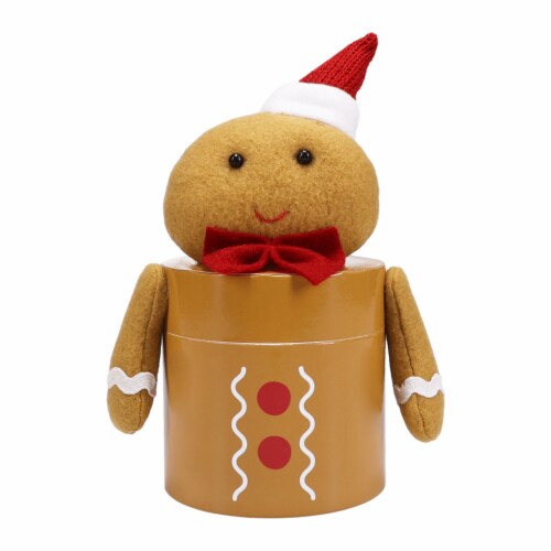 Holiday Home Plush Gingerbread Gift Box Perspective: front
