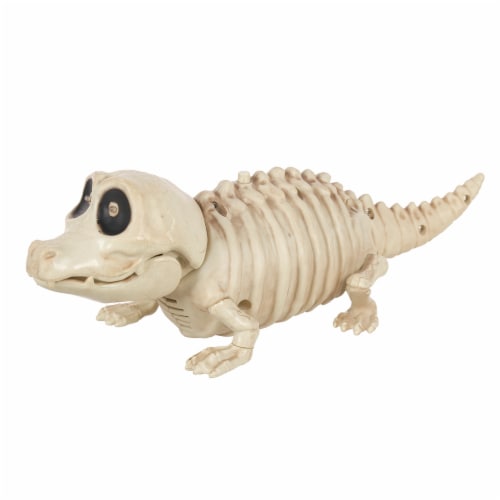 Holiday Home Animated Mini Crocodile Skeleton Perspective: front