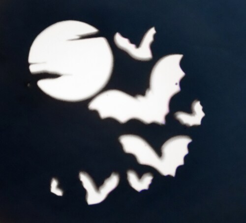 Holiday Home Bats & Moon Projector Lights Perspective: front