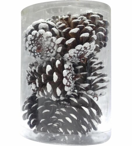 Holiday Home Shatterproof Pinecone Ornaments - Brown/White Perspective: front