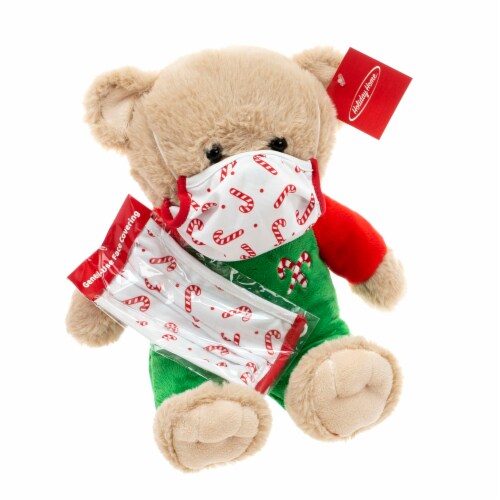 Holiday Home® Red Masked Plush Bear Perspective: front