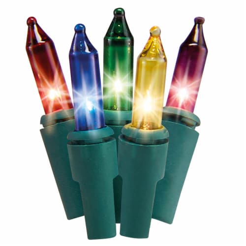 Holiday Home Indoor Outdoor Multi Incandescent Christmas Lights - Green Wire Perspective: front