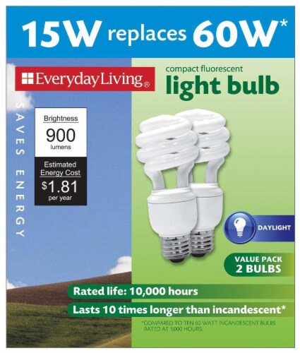 Everyday Living® Daylight 15-Watt (60-Watt) Spiral Compact Fluorescent Light Bulb Perspective: front