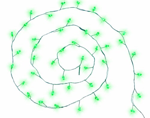 Holiday Home LED 8 Function Tree Garland Lights - Green Perspective: front