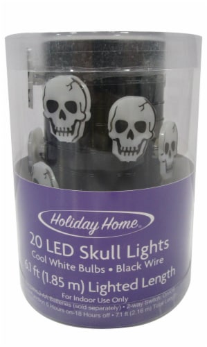 Holiday Home® 20 LED Skull String Lights - White Perspective: front