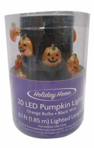 Holiday Home® 20 LED Pumpkin String Lights - Orange Perspective: front