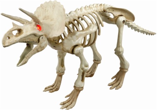 Pan Asian Animated Triceratops Skeleton Perspective: front