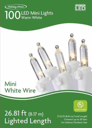 100 led sales mini lights
