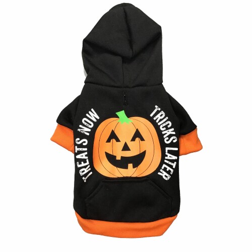 Holiday Home® Medium Treats Now Hoodie Pet Costume Perspective: front