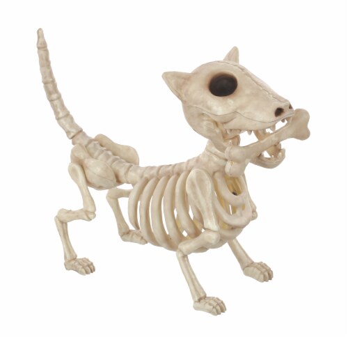 Holiday Home Crazy Bone Dog Skeleton Perspective: front