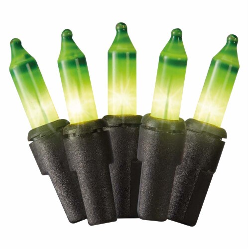 Holiday Home® 70 Mini Lights - Green Perspective: front
