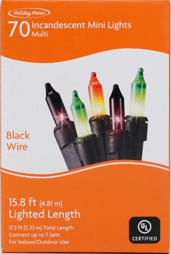 Holiday Home® Mini Multicolored Lights Perspective: front