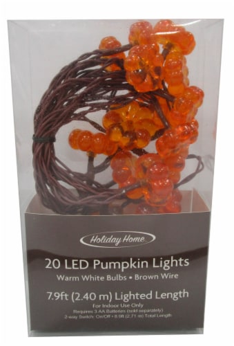 Holiday Home® LED Harvest Pumpkin Perspective: front
