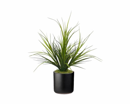 HD Designs Artificial Grass in Small Pot - Matte Black Perspective: front