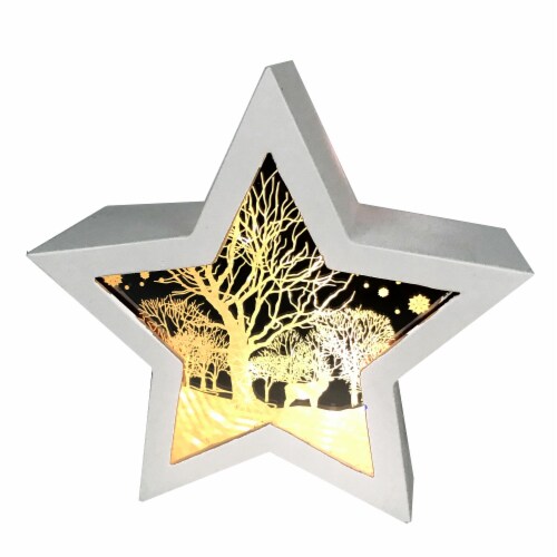 Holiday Home Illuminated Wood Star Perspective: front