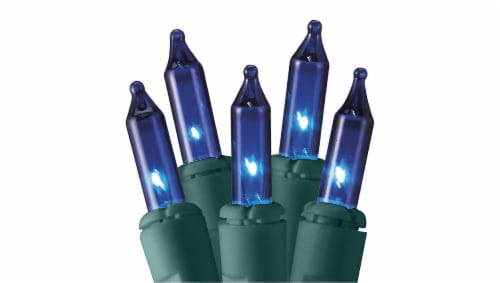 Holiday Home 120 Incandescent Mini String Lights - Blue Perspective: front